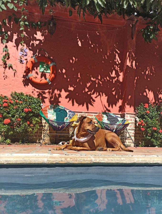 סנטה פה דה אנטיוקיה Hotel Casa De Verano - Solo Adultos - מראה חיצוני תמונה